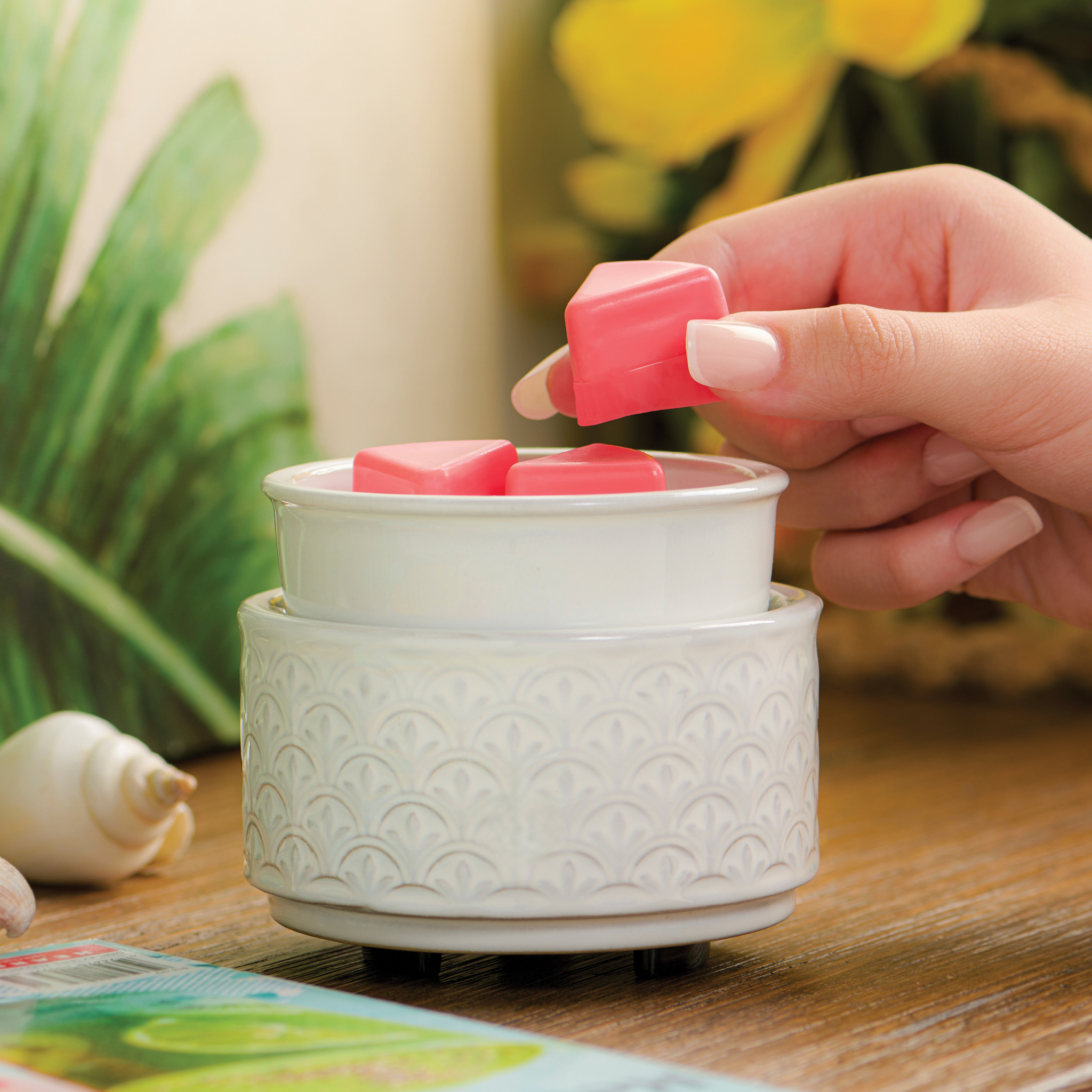 Fill Your Home With Light